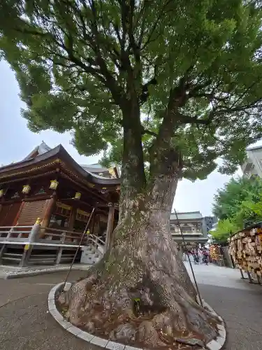 湯島天満宮(東京都)