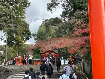 伏見稲荷大社(京都府)