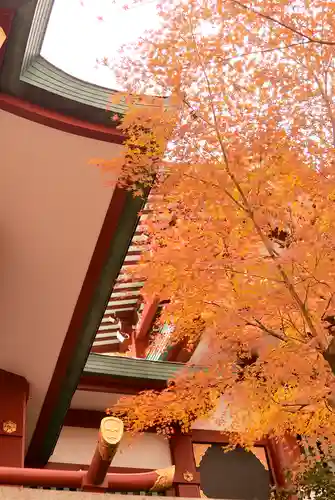 多摩川浅間神社の自然
