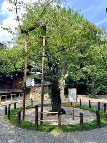 靖國神社(東京都)