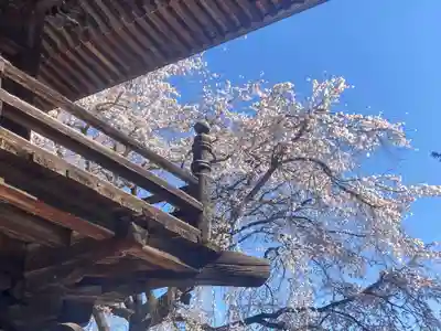 長谷寺(長野県)