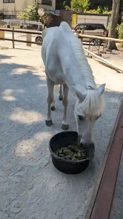 丹生川上神社(下社)(奈良県)