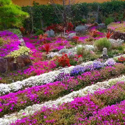寿量山　速成寺(奈良県)