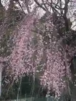 大生郷天満宮の自然