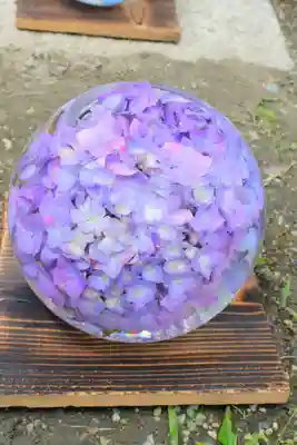 般若寺 ❁﻿コスモス寺❁(奈良県)