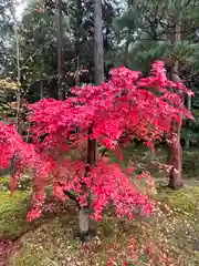 唐招提寺(奈良県)