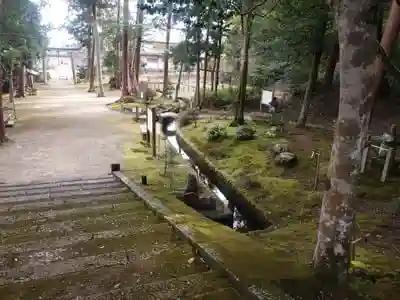小野神社の建物その他