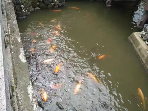 生島足島神社(長野県)