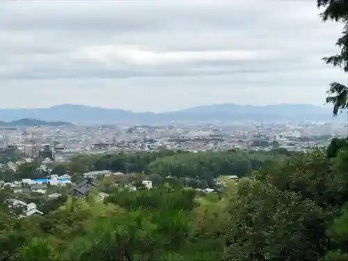 常寂光寺の景色