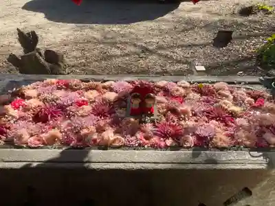 宇佐八幡神社(徳島県)