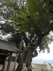 春日神社(徳島県)