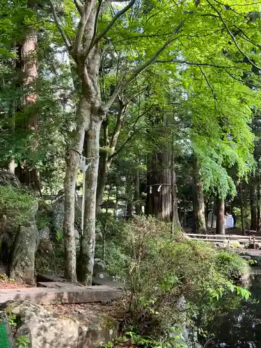 河口浅間神社(山梨県)