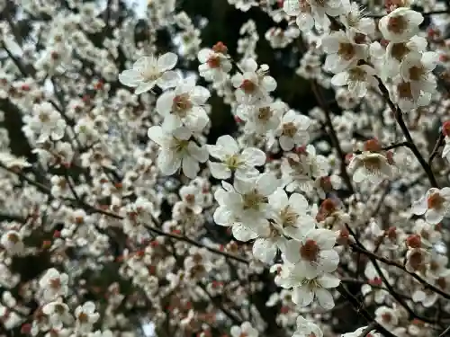 豊景神社の{uncategorized: "未分類", other: "その他", undefined: "問題あり", building: "その他建物", grave: "お墓", sacred_gate: "鳥居", guardian: "狛犬", statue: "像", buddha: "仏像", history: "歴史", nature: "自然", garden: "庭園", animal: "動物", pagoda: "塔", temizu: "手水舎", mountain_gate: "山門・神門", sanctuary: "本殿・本堂", subordinate: "末社・摂社", art: "芸術", scenery: "景色", jizo: "地蔵", ema: "絵馬", goshuin: "御朱印", omikuji: "おみくじ", items: "授与品その他", amulet: "お守り", goshuincho: "御朱印帳", eats: "食事", festival: "お祭り", votive_dance: "神楽", shichigosan: "七五三参", wedding: "結婚式", experience: "体験その他", initially: "初詣", around: "周辺", anti_infection: "感染症対策"}