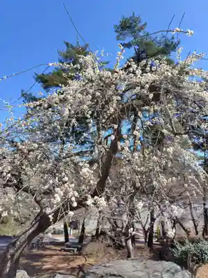 不動寺(埼玉県)