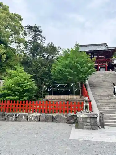 鶴岡八幡宮の自然