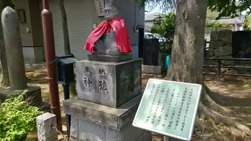 丸子山王日枝神社の狛犬