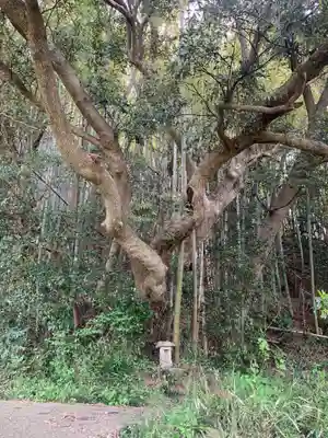 星神社(千葉県)