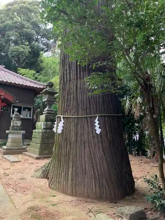 鹿殿神社(千葉県)