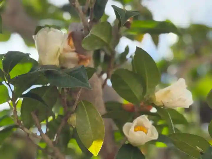 西方山極楽寺(岐阜県)