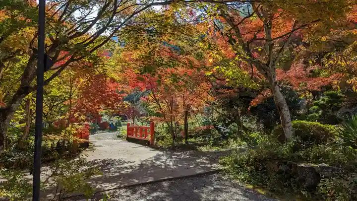 神藏寺(京都府)
