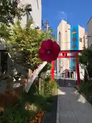 北見稲荷神社の鳥居