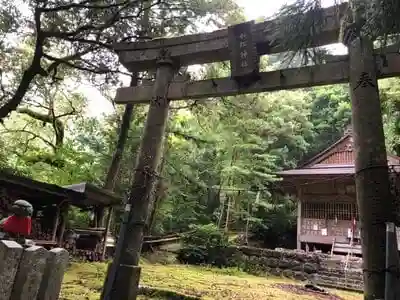 小松神社の鳥居