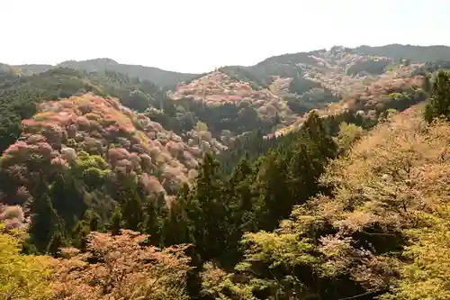 𠮷水神社（吉水神社）(奈良県)