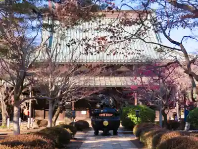豪徳寺の本殿・本堂
