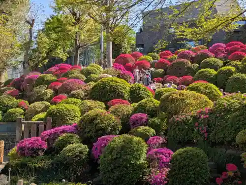 根津神社(東京都)