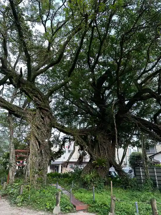 野島神社(宮崎県)