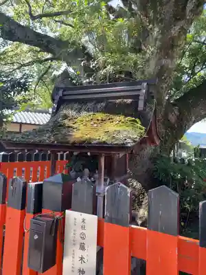藤木社（賀茂別雷神社末社）(京都府)