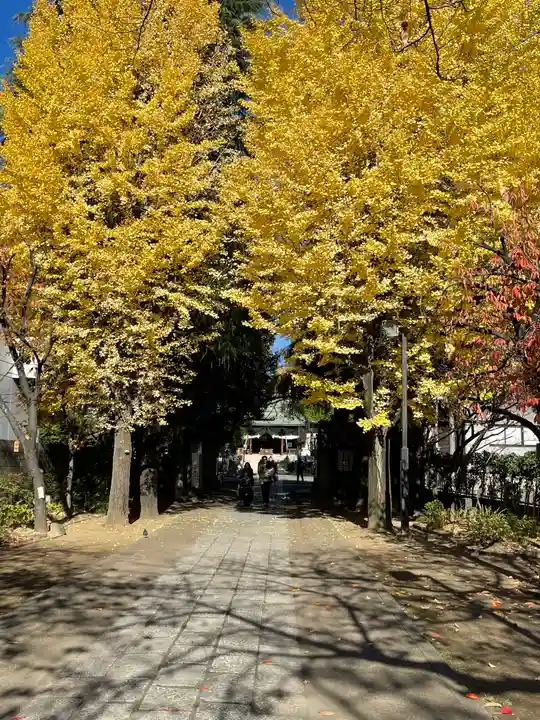 亀戸 香取神社(東京都)