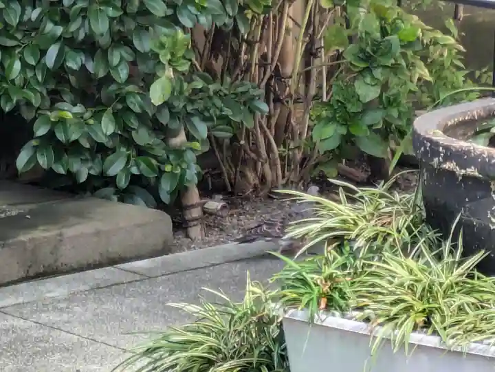 永昌寺(東京都)