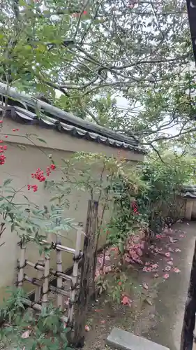 霊源院(京都府)