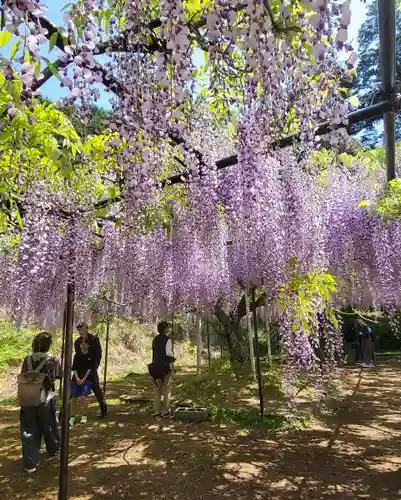 天台宗 五大山 白毫寺(兵庫県)