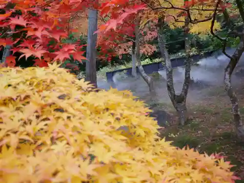 洞窟観音・徳明園・山徳記念館の景色