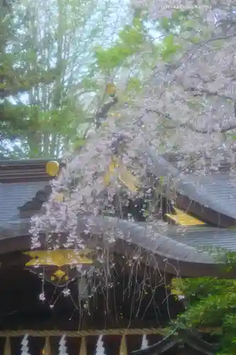 子安神社(東京都)