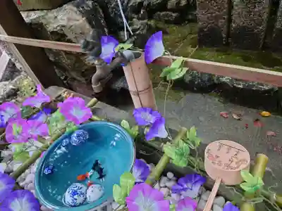 小倉八幡神社(徳島県)