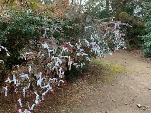 日先神社のおみくじ