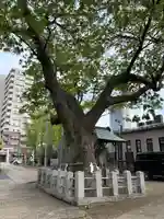 阿邪訶根神社(福島県)