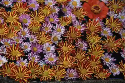 大鏑神社の手水舎