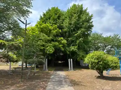 天満神社(茨城県)