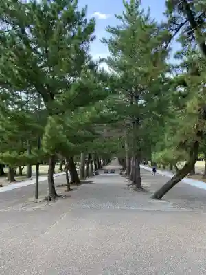 出雲大社(島根県)