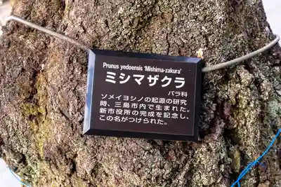 三嶋大社(静岡県)