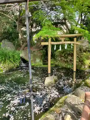 愛宕神社の鳥居