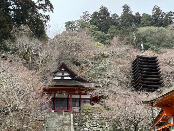 談山神社(奈良県)