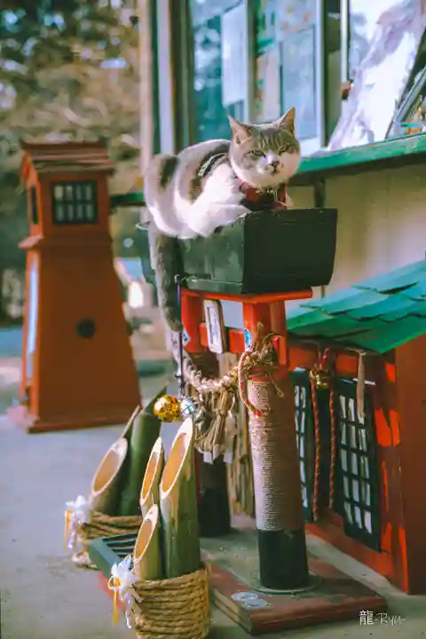 正一位 若草稲荷神社(宮城県)