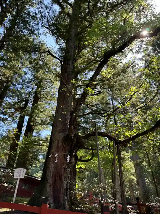 日光二荒山神社(栃木県)