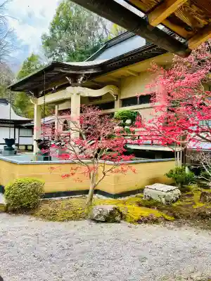 龍谷院の{uncategorized: "未分類", other: "その他", undefined: "問題あり", building: "その他建物", grave: "お墓", sacred_gate: "鳥居", guardian: "狛犬", statue: "像", buddha: "仏像", history: "歴史", nature: "自然", garden: "庭園", animal: "動物", pagoda: "塔", temizu: "手水舎", mountain_gate: "山門・神門", sanctuary: "本殿・本堂", subordinate: "末社・摂社", art: "芸術", scenery: "景色", jizo: "地蔵", ema: "絵馬", goshuin: "御朱印", omikuji: "おみくじ", items: "授与品その他", amulet: "お守り", goshuincho: "御朱印帳", eats: "食事", festival: "お祭り", votive_dance: "神楽", shichigosan: "七五三参", wedding: "結婚式", experience: "体験その他", initially: "初詣", around: "周辺", anti_infection: "感染症対策"}