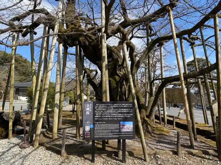 日光山輪王寺三仏堂(栃木県)